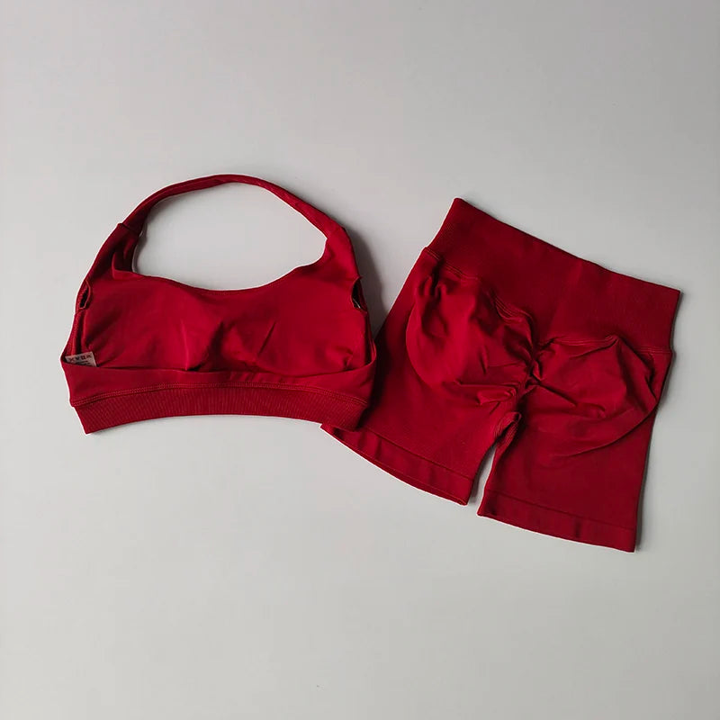 2-Piece Women’s Seamless Yoga & Gym Set