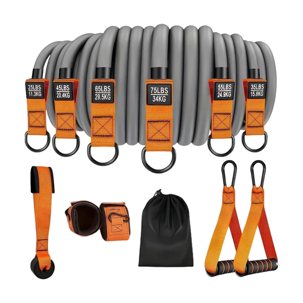 Heavy-Duty Resistance Bands Set with Handles – Multi-Function