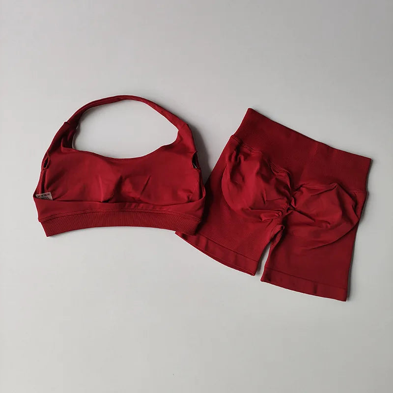 2-Piece Women’s Seamless Yoga & Gym Set